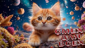 ПРИКОЛЫ С КОТАМИ😸Самые смешные животные😸 СМЕШНЫЕ КОТЫ Угарные коты и собаки заставят вас смеяться