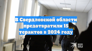 В Свердловской области предотвратили 15 терактов в 2024 году