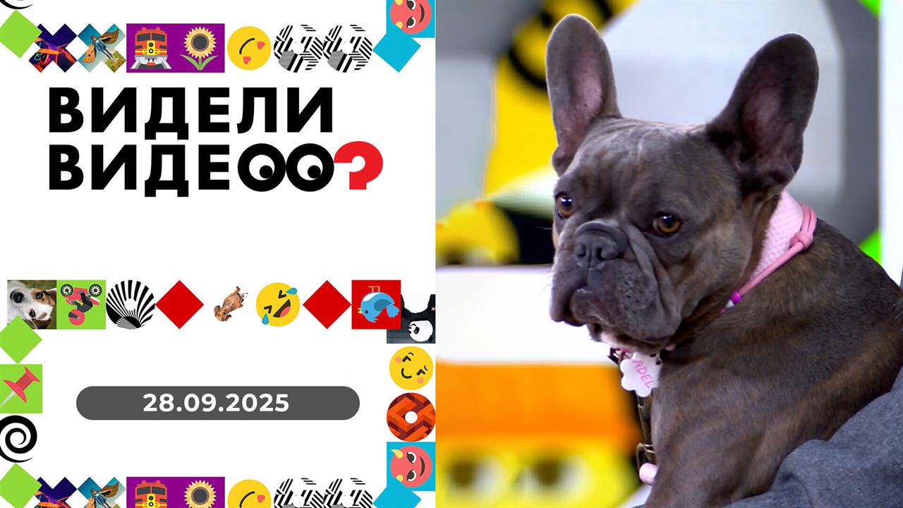 Видели видео? Выпуск от 28.09.2025