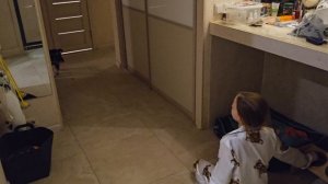 пытаюсь покормить собаку