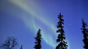 Банда в Нарьян-Маре