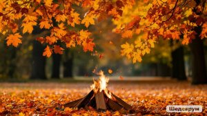 Нежность слов