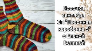 Отчет сентября СП "Носочная коробочка 5" с Еленой Велиной.