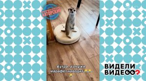 Прокат на пылесосе. Видели видео? Фрагмент выпуска от 28.09.2025