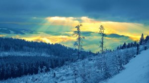 Судьба (перепевка,кавер-версия) из репертуара Сергея Трофимова (Трофима)
