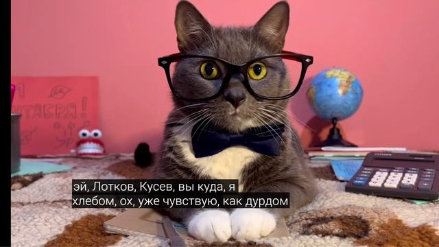 Котики идут в школу🍂 1 часть