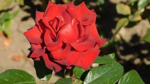 22==09==2025  ПВН  КМР   (225)