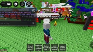 розыгрыш на нихонзару радиант