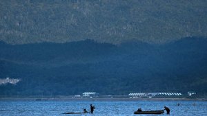 Сахалинцы жалуются на открытое браконьерство в огромных масштабах