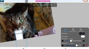 ухаживаем за Рудольфом 2 часть