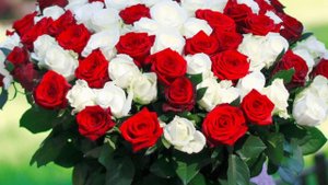 Моя любимая Иришка - песня на стихи ИИ