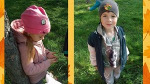 прогулки в осень