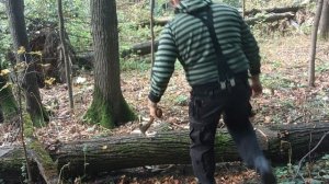 24.09.25 ПОРУБАС #46