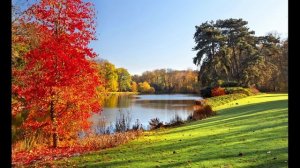 Прощай лето до встречи весной песня