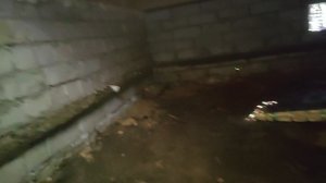 Анатолий крот...