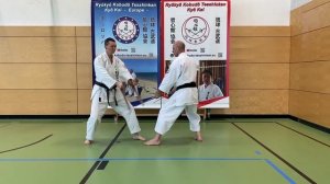 ПАРНЫЕ ТЕХНИКИ В РЮКЮ КОБУДО: САЙ-ТОНФА