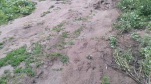 Red Eyes 254 by AZ-13 SPL POWER   в коробе  ,от усилителя  дл аудио 2.1800 в канал ч.1