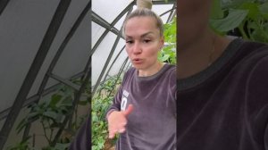 Подробно про перцы 🌶