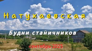 Дома и на работе.Холодец из курицы.Варенье из персиков.СТАНИЦА.Горбатого.Горького
