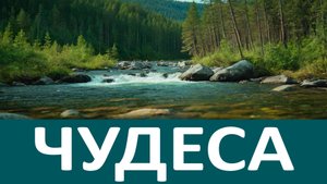 Молитва от Антония Оптинского, которая творит ЧУДЕСА!