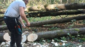 24.09.25 ПОРУБАС #46