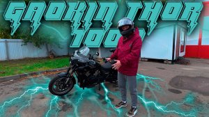 Сделал из GAOKIN THOR 1000 харлей?
