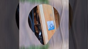 1000035648.mp4 (Собака наблюдает за устройством плоскости каркаса, обрезкой пола в доме А-фрейм)