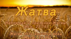 ЦЕРКОВЬ#ВОСКРЕСНОЕ БОГОСЛУЖЕНИЕ#ЖАТВА#28.09.25