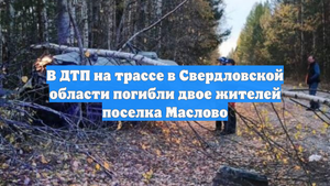 В ДТП на трассе в Свердловской области погибли двое жителей поселка Маслово
