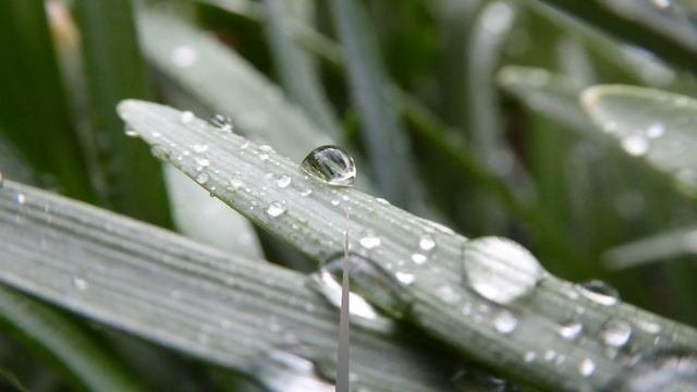 Атмосферные осадки