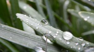 Атмосферные осадки