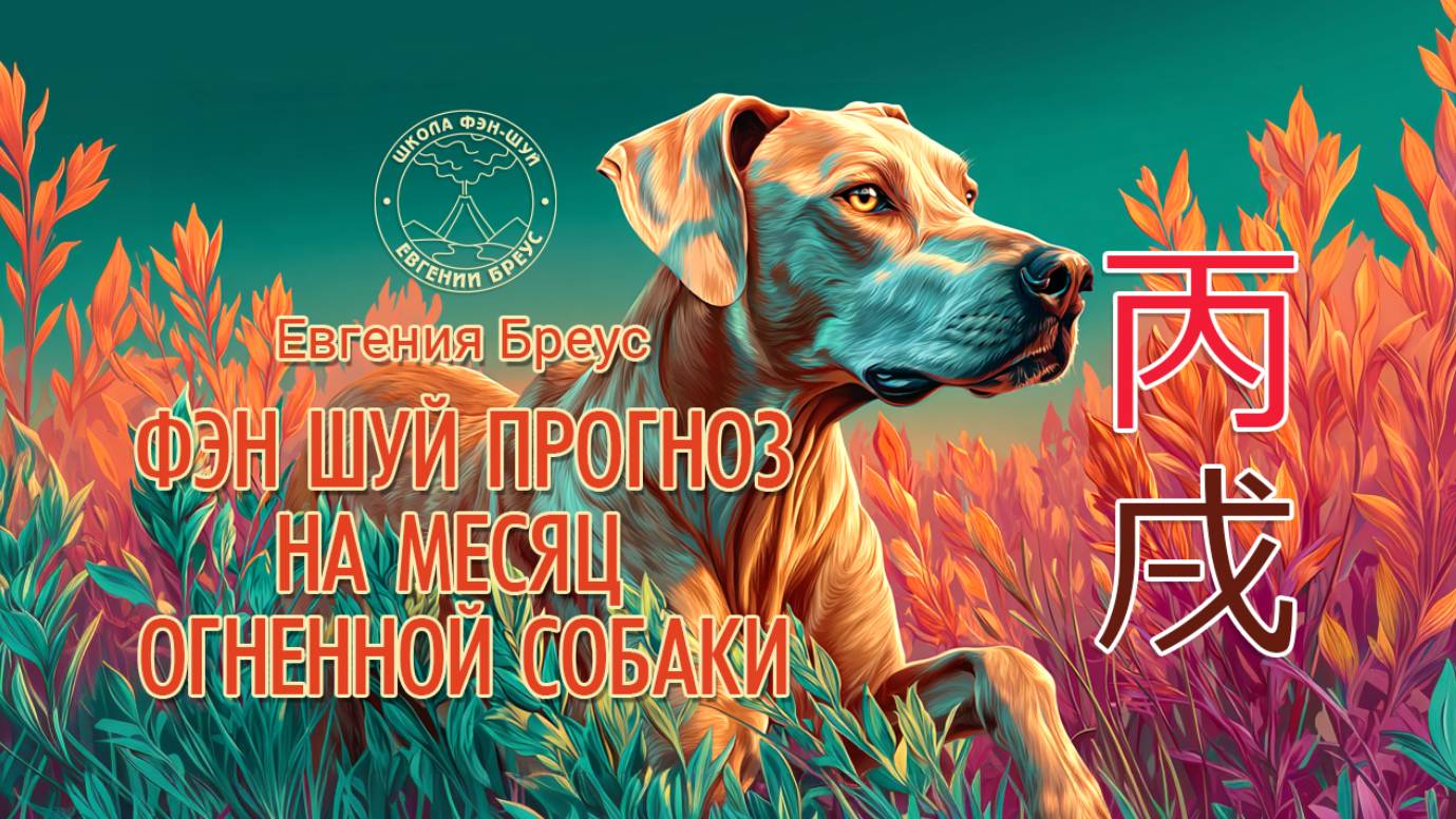 Фэн Шуй прогноз на октябрь (месяц огненной собаки). смотреть онлайн