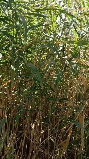 1000002813.mp4 смотреть онлайн