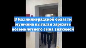 В Калининградской области мужчина пытался зарезать восьмилетнего сына знакомой