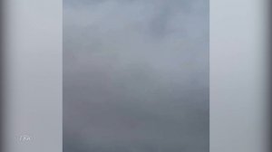 Небо в клиньях: осенняя миграция гусей над Колпашевом