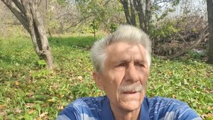 Листья жёлтые