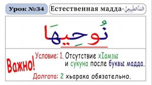 Урок - 34. Естественная Мадда