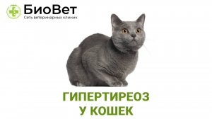 Гипертиреоз