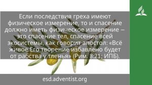 29 сентября 2025. Начаток Духа. Под сенью благодати | Адвентисты