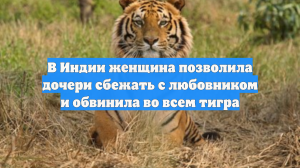 В Индии женщина позволила дочери сбежать с любовником и обвинила во всем тигра