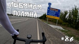 #86. Лебяжья Поляна.