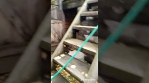 школа паркура и стрельбы урок 1