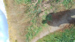 гуляю с собакой