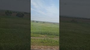 27.06.2025г и это я еду из Улан Удэ в свой Владивосток, на поезде бесплатно