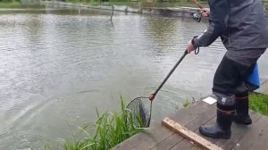 Какая красавица!