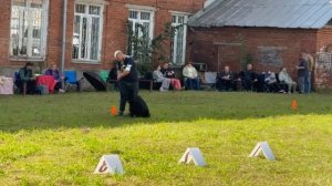 3 Отл. ДЖЕССИКА БЛЭК КВИН из Белого Яра +++ №39. ИЖЕВСК 14 сентября`25 Моно немецких овчарок