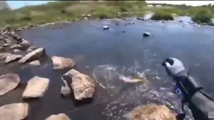 Видео от За Трофеем: Охота и Рыбалка
