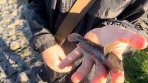 Мормышинг. Москва-река. Сын разгромил меня! Счет 22-1 😭