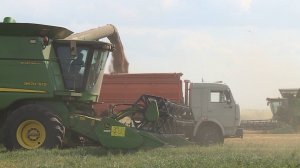 В регионе завершается уборочная кампания