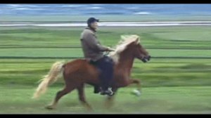 Распевка- От топота копыт